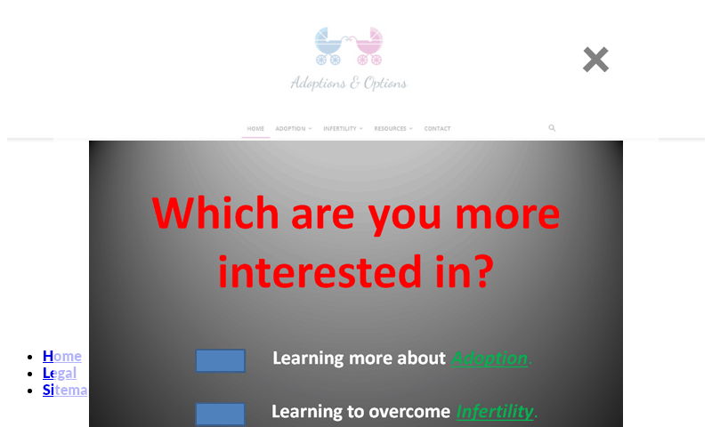 adopt2connect.com.jpg