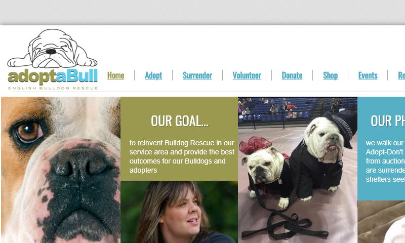 adoptabull.org.jpg