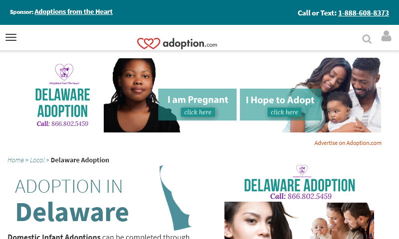 adoptionindelaware.com