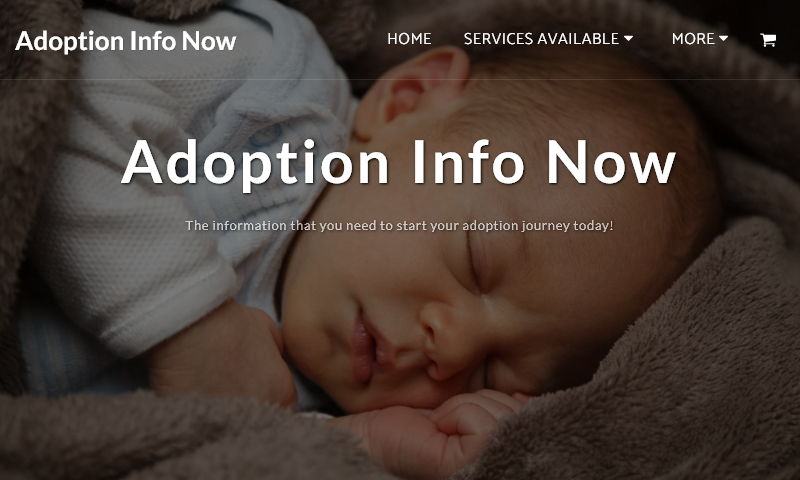 adoptioninfonow.com