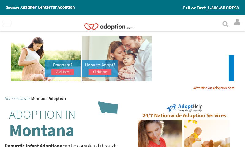 adoptioninmontana.com