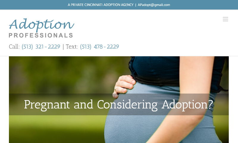 adoptionprofessionals.net