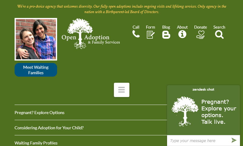 adoptopen.com.jpg