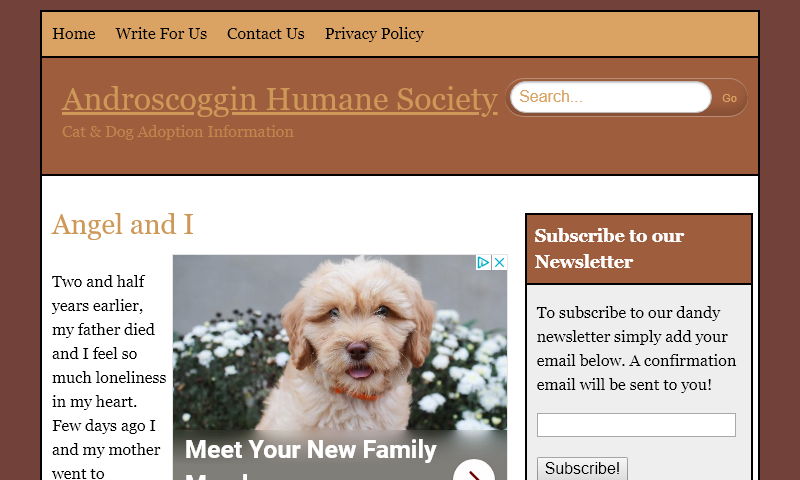 androscogginhumanesociety.com.jpg