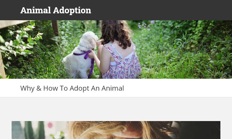 animaladoption.co.uk