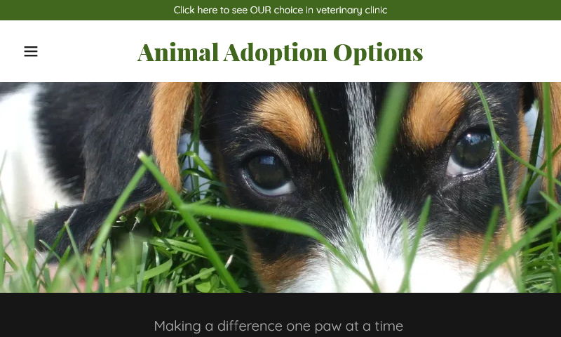 animaladoptionoptions.com