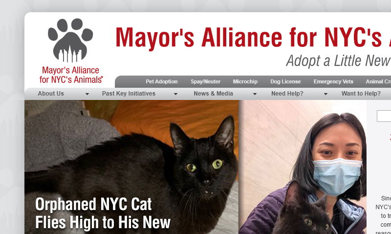 animalallianceny.org