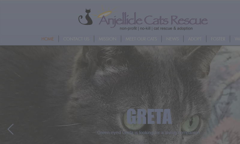 anjelliclecats.com.jpg