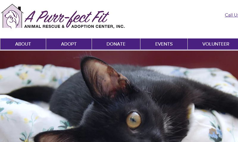 apurrfectfit.org
