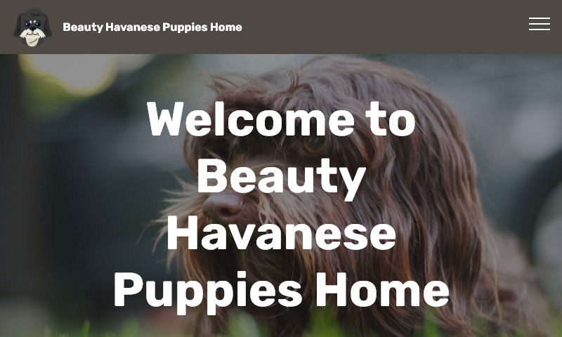 beautyhavanesepuppieshome.com