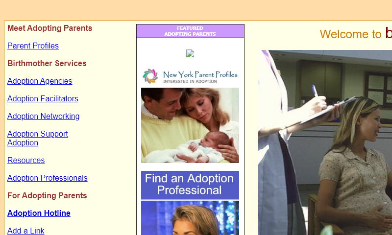 birthmother.org.jpg