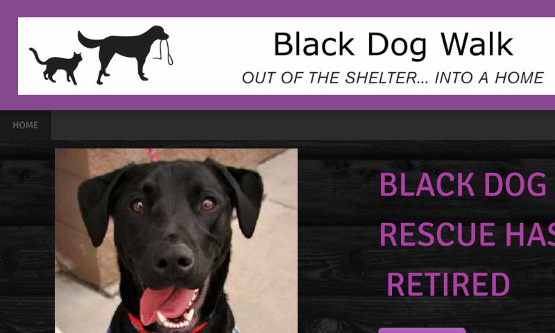 blackdogwalk.org