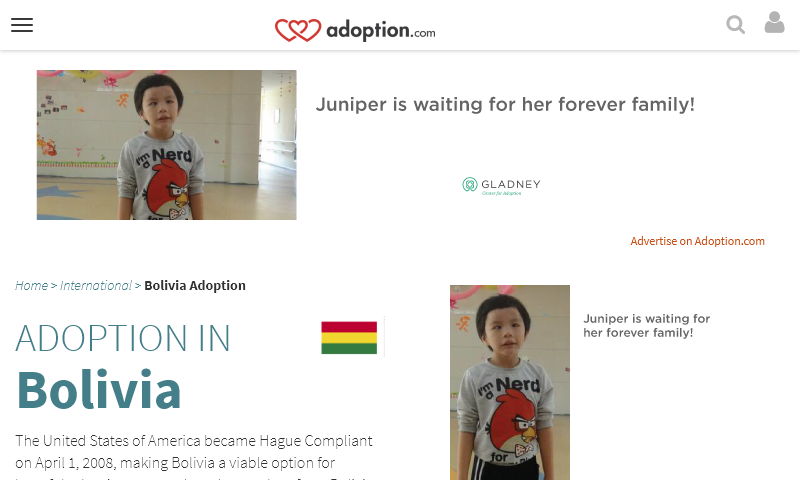 boliviaadoption.com