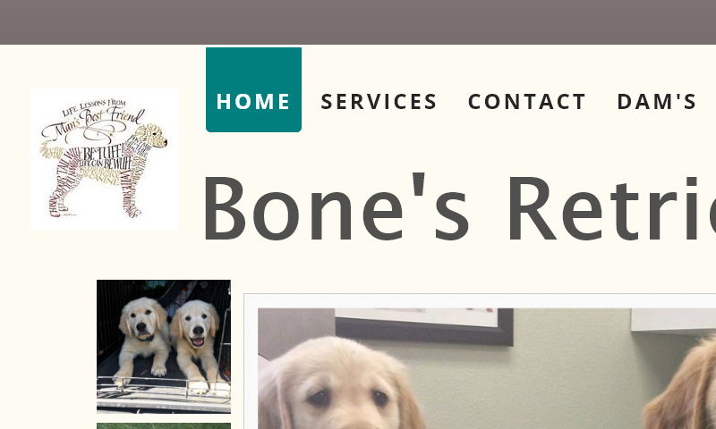 bonesretrievers.com.jpg