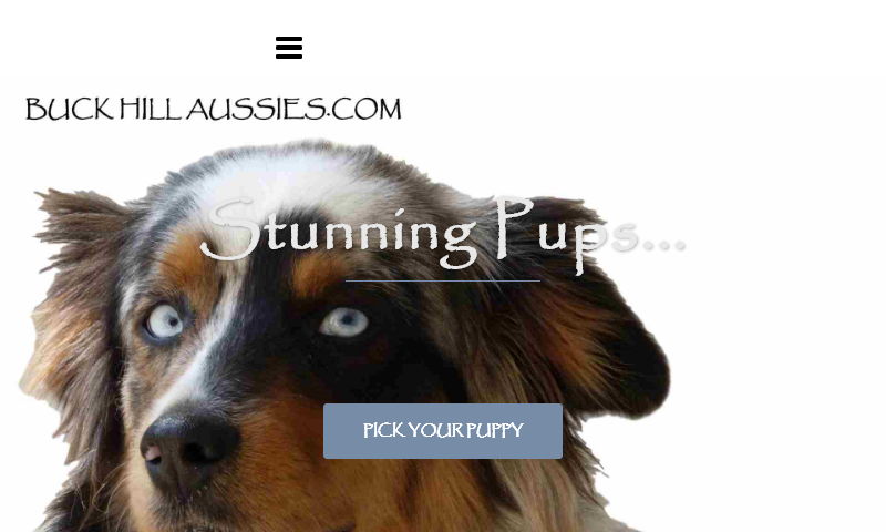 buckhillaussies.com
