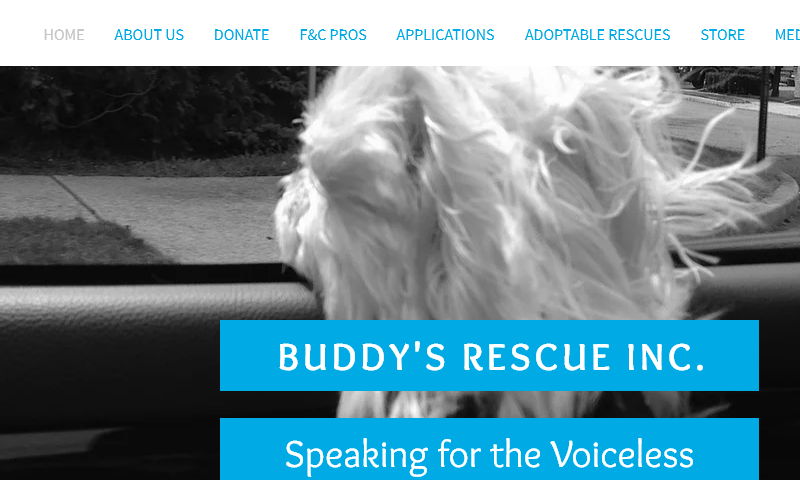 buddysrescue.com