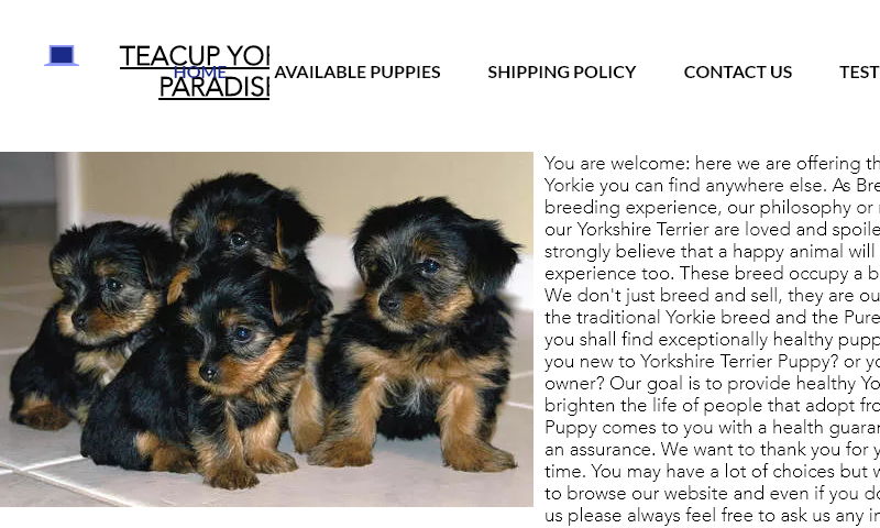 buyyorkiepuppy.com
