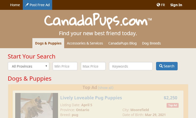 canadapups.com.jpg