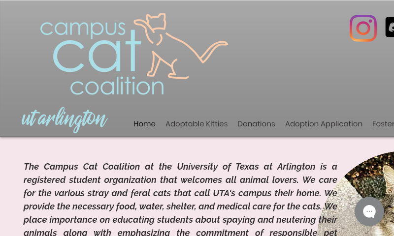 catsofuta.org