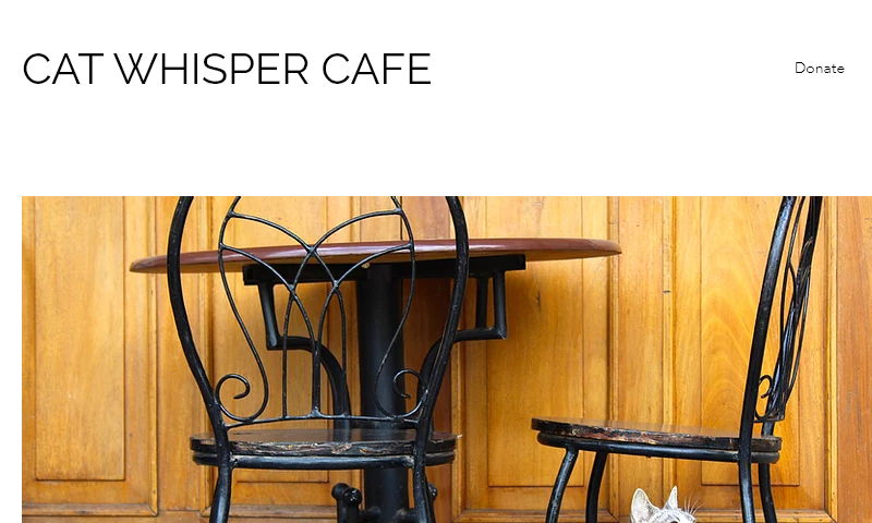 www.catwhispercafe.com