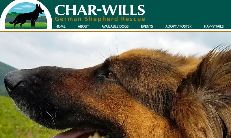 charwillsgsdrescuekennels.com