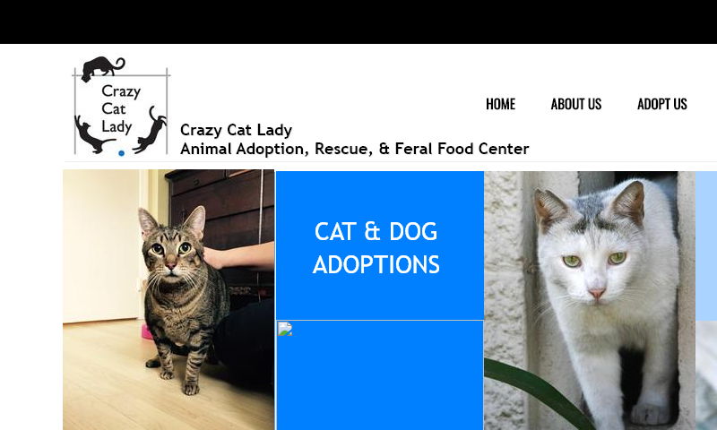 crazycatladyanimaladoption.org
