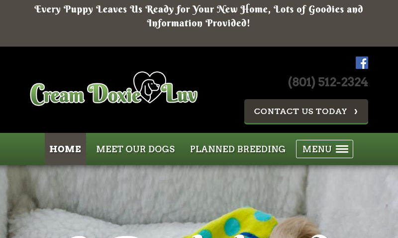 creamdoxieluv.com.jpg