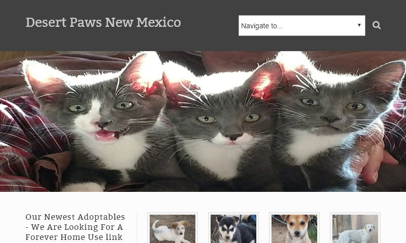 desertpawsnm.org