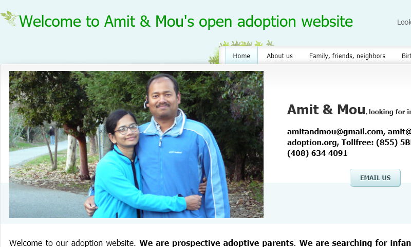 www.domesticopenadoption.info