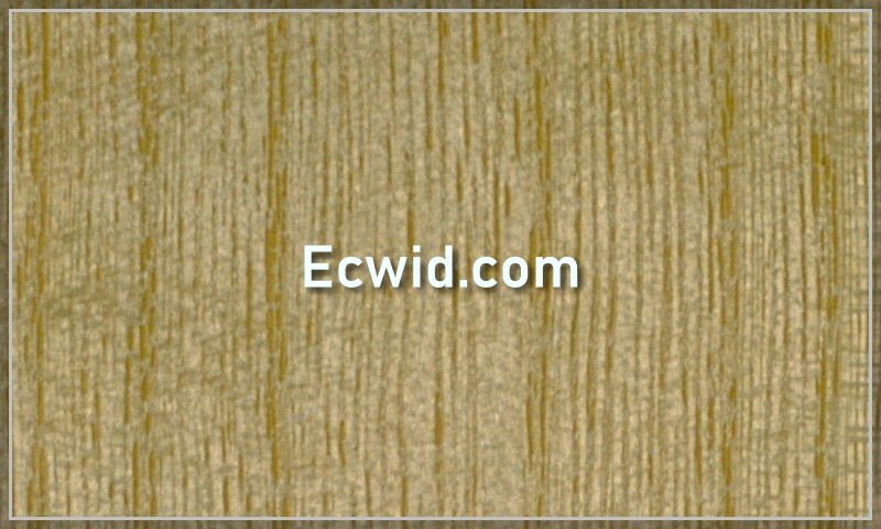 ecwid.com.jpg