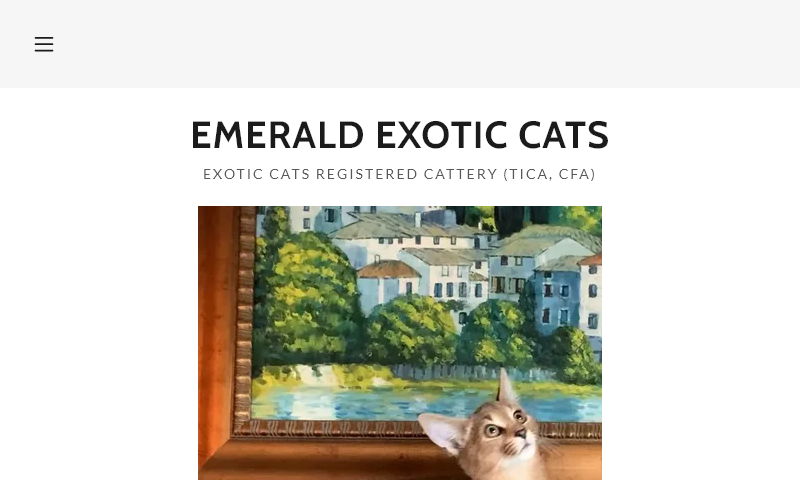 emeraldcityexoticcats.com