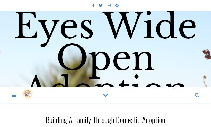 eyeswideopenadoption.com.jpg
