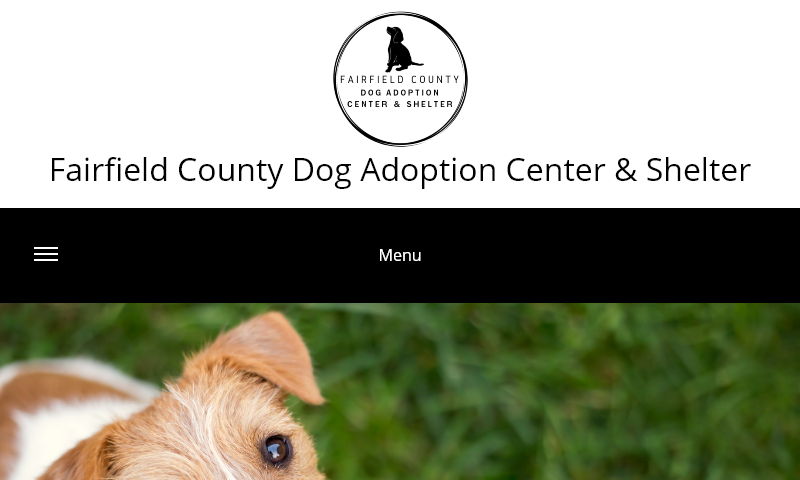 fairfieldcountydogs.com