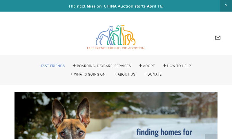 fastfriendsdoggydaycare.com