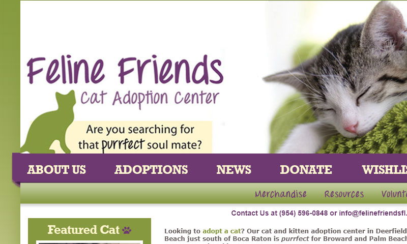 felinefriendsfl.com