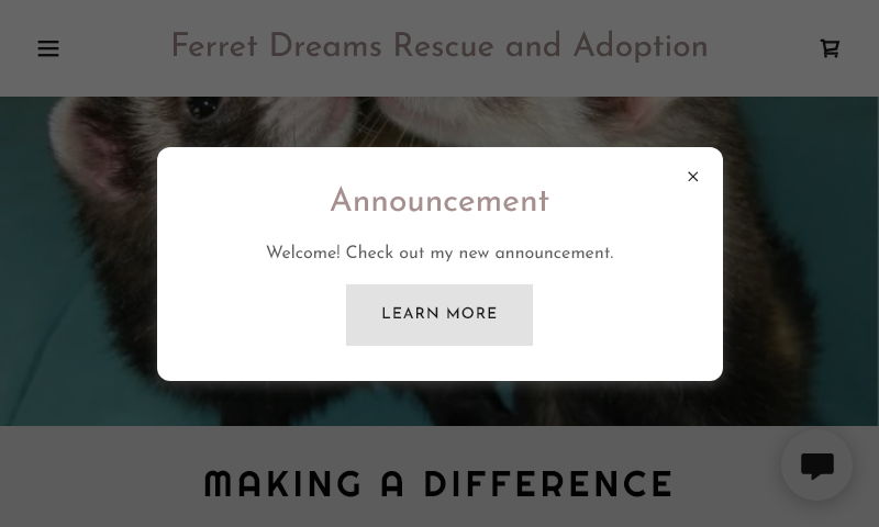 ferretdreams.org.jpg