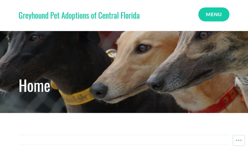floridagreyhounds.com