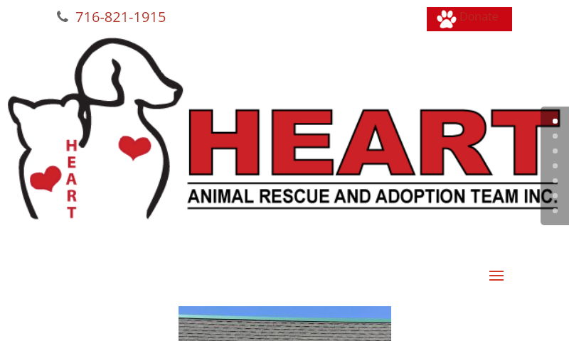 heartforanimals.org.jpg