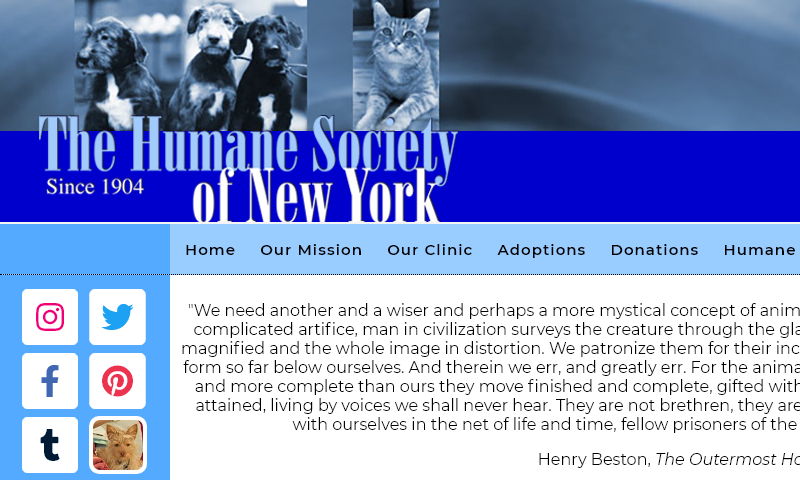 humanesocietyny.org.jpg