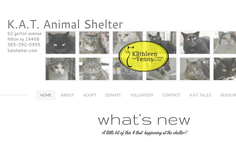 katshelter.com