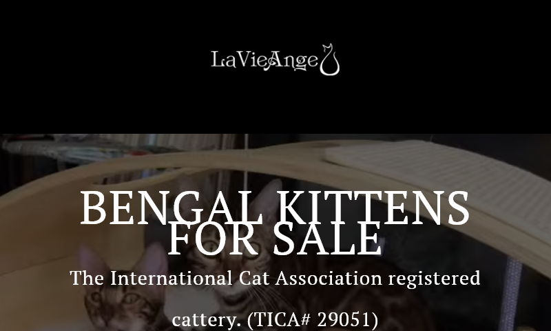 lavieangebengal.com