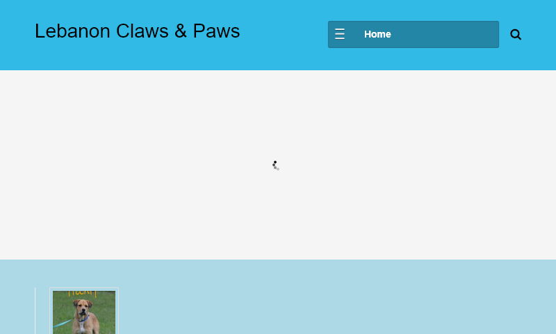 lebanonclawsandpaws.com