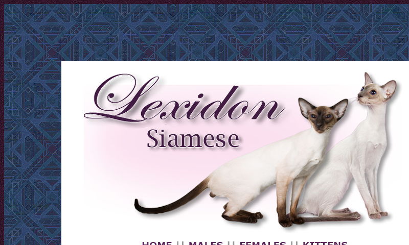 lexidonsiamese.com