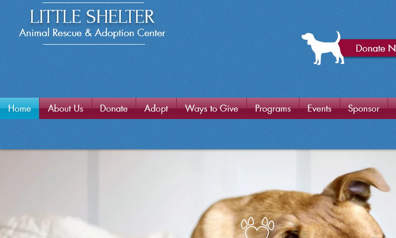 littleshelter.com
