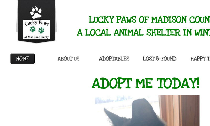 luckypawsofmadisoncounty.com
