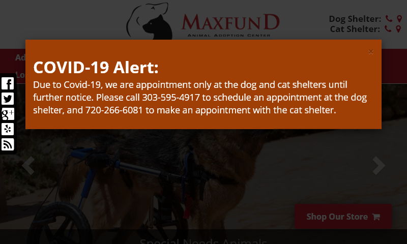 maxfund.org.jpg