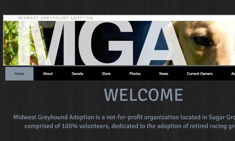 midwestgreyhound.org.jpg