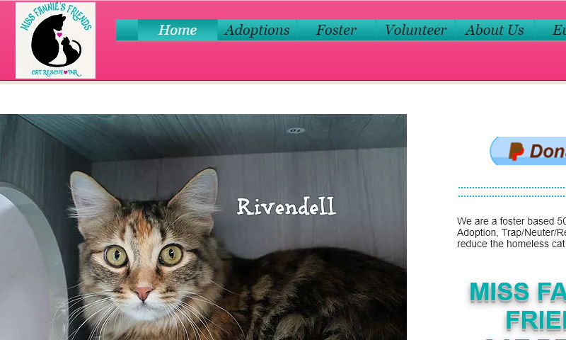 missfanniesfriends.com