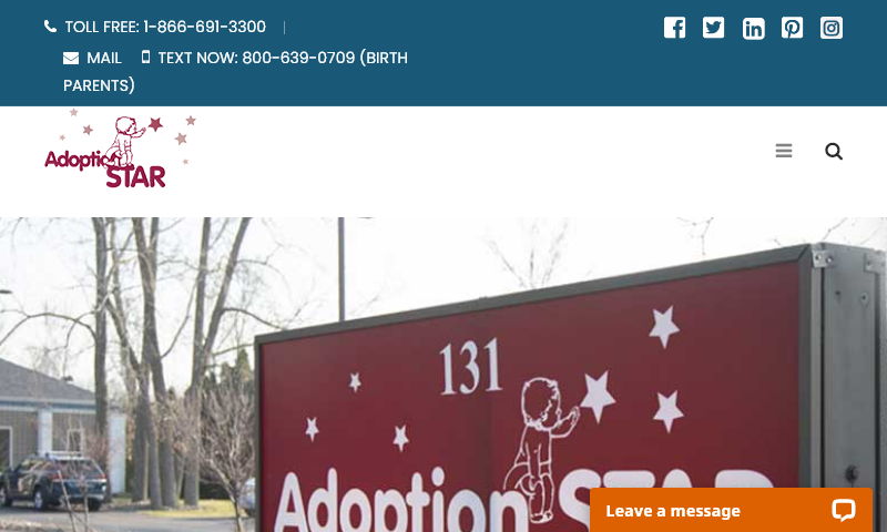newyorkadopt.com