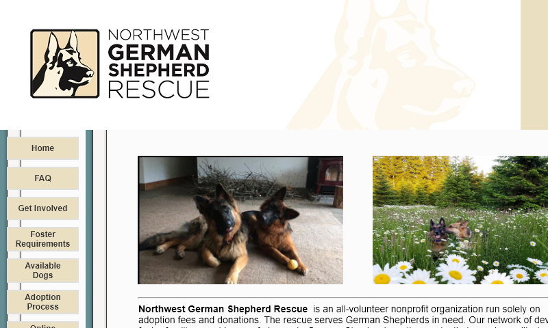 northwestgermanshepherd.org.jpg